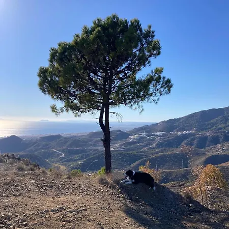 Apartament El Mirador By Bh Marbella